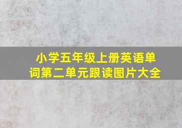 小学五年级上册英语单词第二单元跟读图片大全