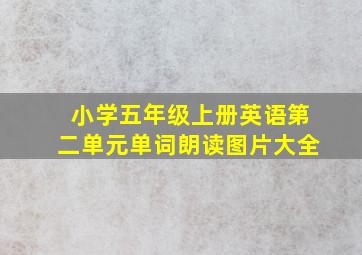 小学五年级上册英语第二单元单词朗读图片大全