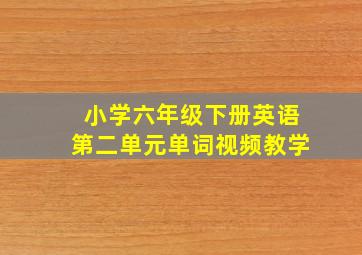 小学六年级下册英语第二单元单词视频教学