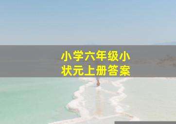 小学六年级小状元上册答案