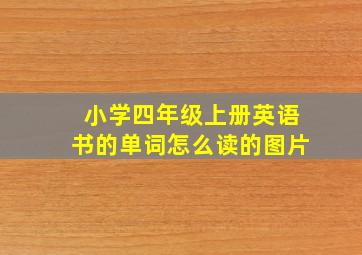 小学四年级上册英语书的单词怎么读的图片