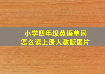 小学四年级英语单词怎么读上册人教版图片