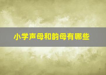 小学声母和韵母有哪些