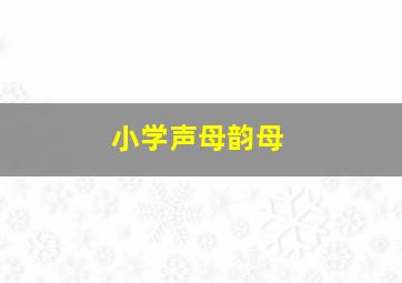 小学声母韵母