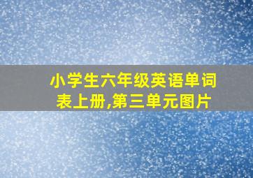 小学生六年级英语单词表上册,第三单元图片