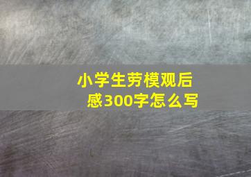 小学生劳模观后感300字怎么写