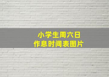 小学生周六日作息时间表图片