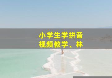 小学生学拼音视频教学、林