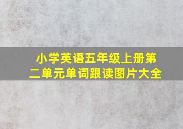 小学英语五年级上册第二单元单词跟读图片大全