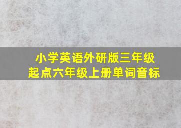 小学英语外研版三年级起点六年级上册单词音标