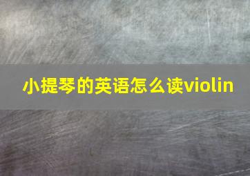 小提琴的英语怎么读violin