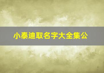 小泰迪取名字大全集公