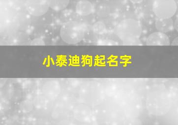 小泰迪狗起名字