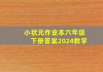 小状元作业本六年级下册答案2024数学