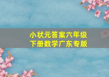 小状元答案六年级下册数学广东专版