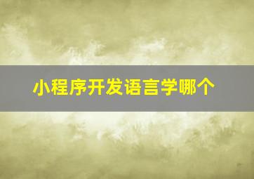 小程序开发语言学哪个