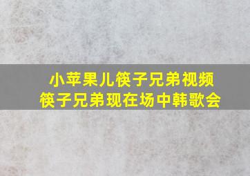 小苹果儿筷子兄弟视频筷子兄弟现在场中韩歌会