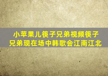 小苹果儿筷子兄弟视频筷子兄弟现在场中韩歌会江南江北