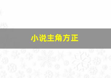 小说主角方正