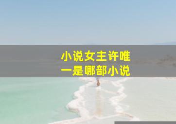 小说女主许唯一是哪部小说