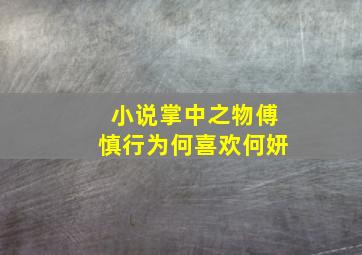 小说掌中之物傅慎行为何喜欢何妍