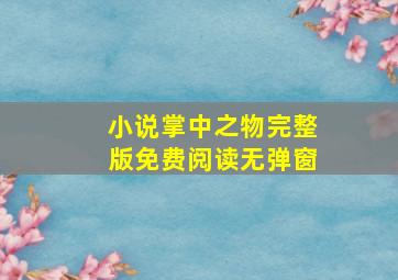 小说掌中之物完整版免费阅读无弹窗