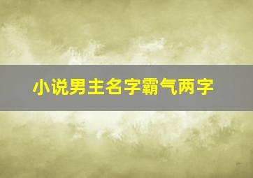 小说男主名字霸气两字