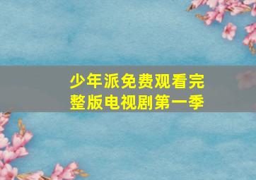 少年派免费观看完整版电视剧第一季