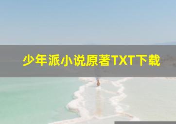 少年派小说原著TXT下载