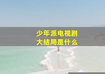 少年派电视剧大结局是什么