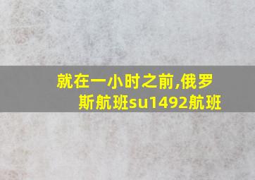 就在一小时之前,俄罗斯航班su1492航班