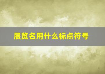 展览名用什么标点符号