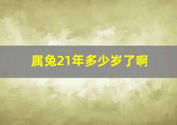 属兔21年多少岁了啊