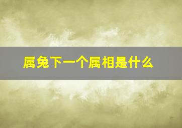 属兔下一个属相是什么