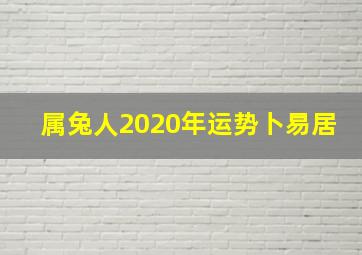 属兔人2020年运势卜易居