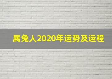 属兔人2020年运势及运程