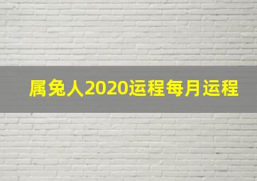 属兔人2020运程每月运程