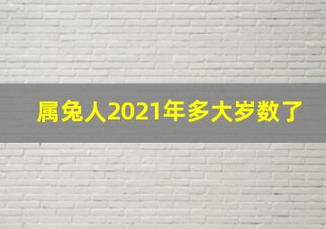 属兔人2021年多大岁数了