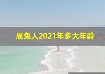 属兔人2021年多大年龄