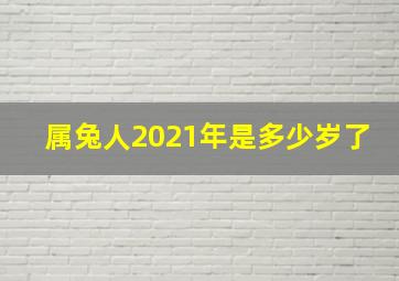 属兔人2021年是多少岁了