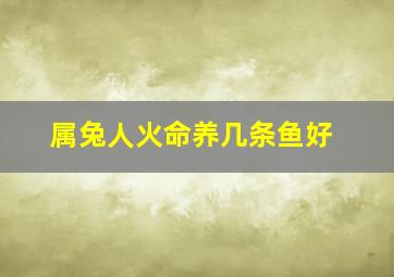 属兔人火命养几条鱼好