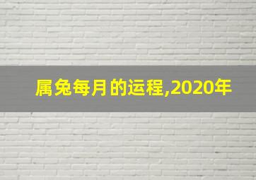 属兔每月的运程,2020年