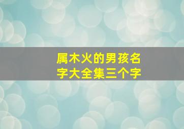 属木火的男孩名字大全集三个字