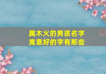 属木火的男孩名字寓意好的字有那些