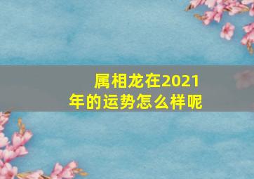 属相龙在2021年的运势怎么样呢