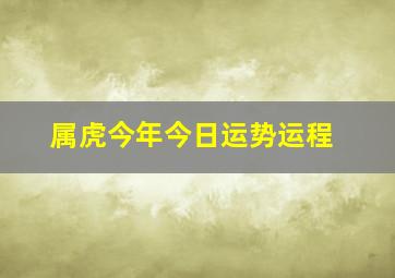 属虎今年今日运势运程