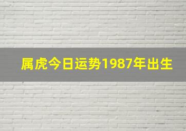 属虎今日运势1987年出生