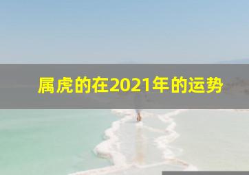 属虎的在2021年的运势