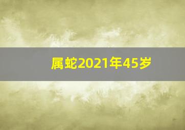 属蛇2021年45岁