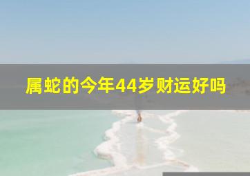 属蛇的今年44岁财运好吗